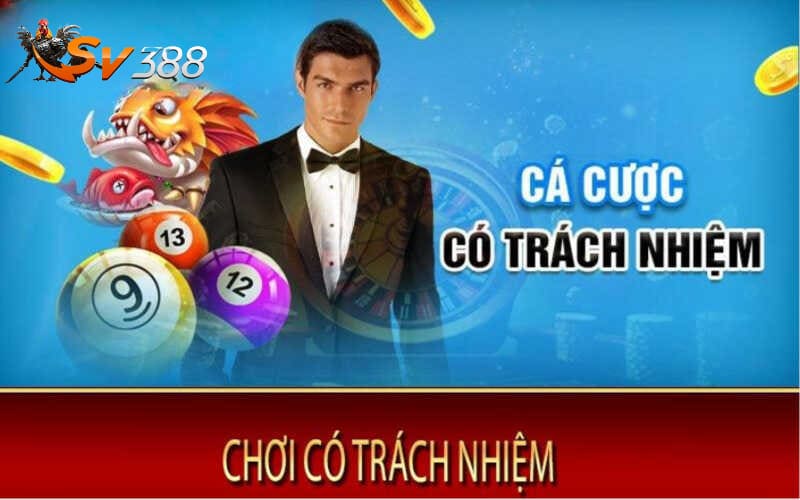 Tìm hiểu quy định về trách nhiệm người chơi tại SV288